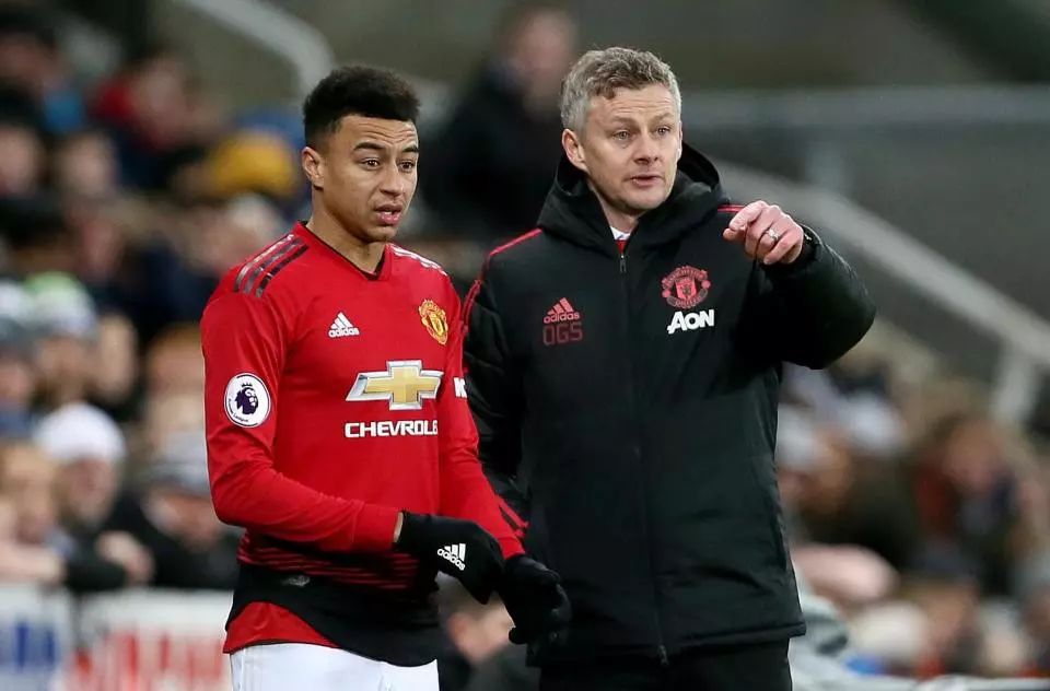 在足球比赛 在足球比赛